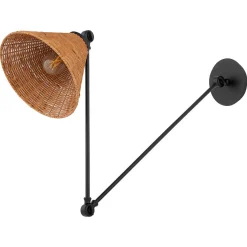 Rosa Swing Arm Sconce