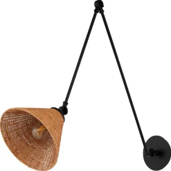 Rosa Swing Arm Sconce