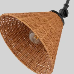 Rosa Swing Arm Sconce