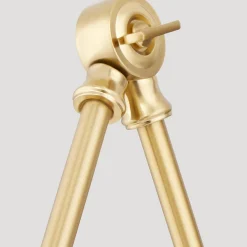 Rosa Swing Arm Sconce