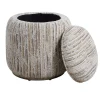 Salacia Ottoman