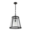 Seeded Glass Transitional Pendant - Medium