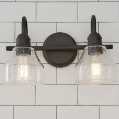 Seedy Gooseneck Vanity Light - 2 Light