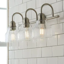 Seedy Gooseneck Vanity Light - 3 Light