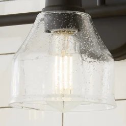 Seedy Gooseneck Vanity Light - 3 Light