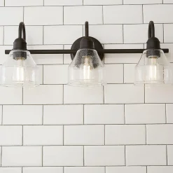 Seedy Gooseneck Vanity Light - 3 Light