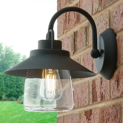 Shaded Firefly Outdoor Sconce