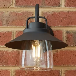 Shaded Firefly Outdoor Sconce