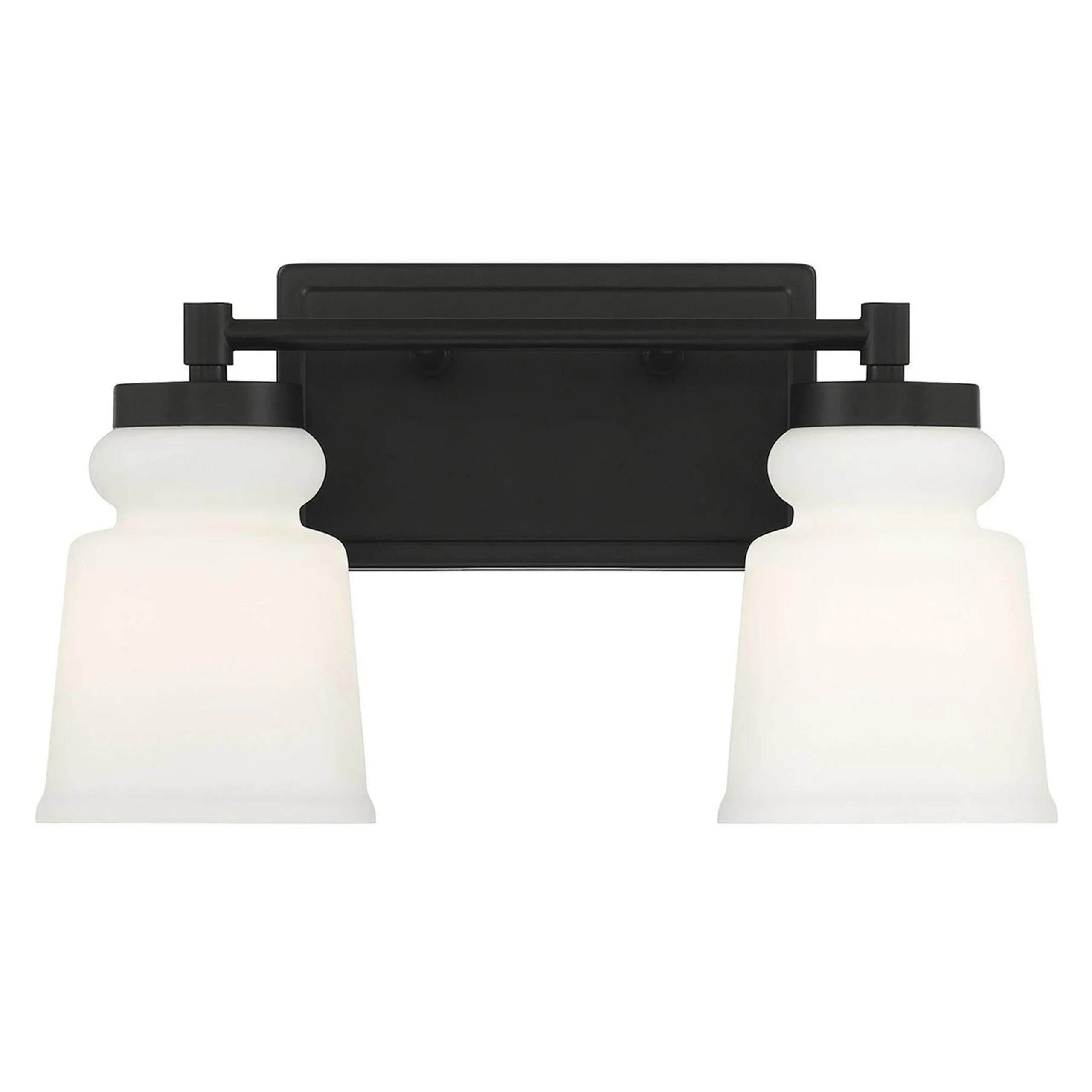 Snowmelt Vanity Light - 2 Light