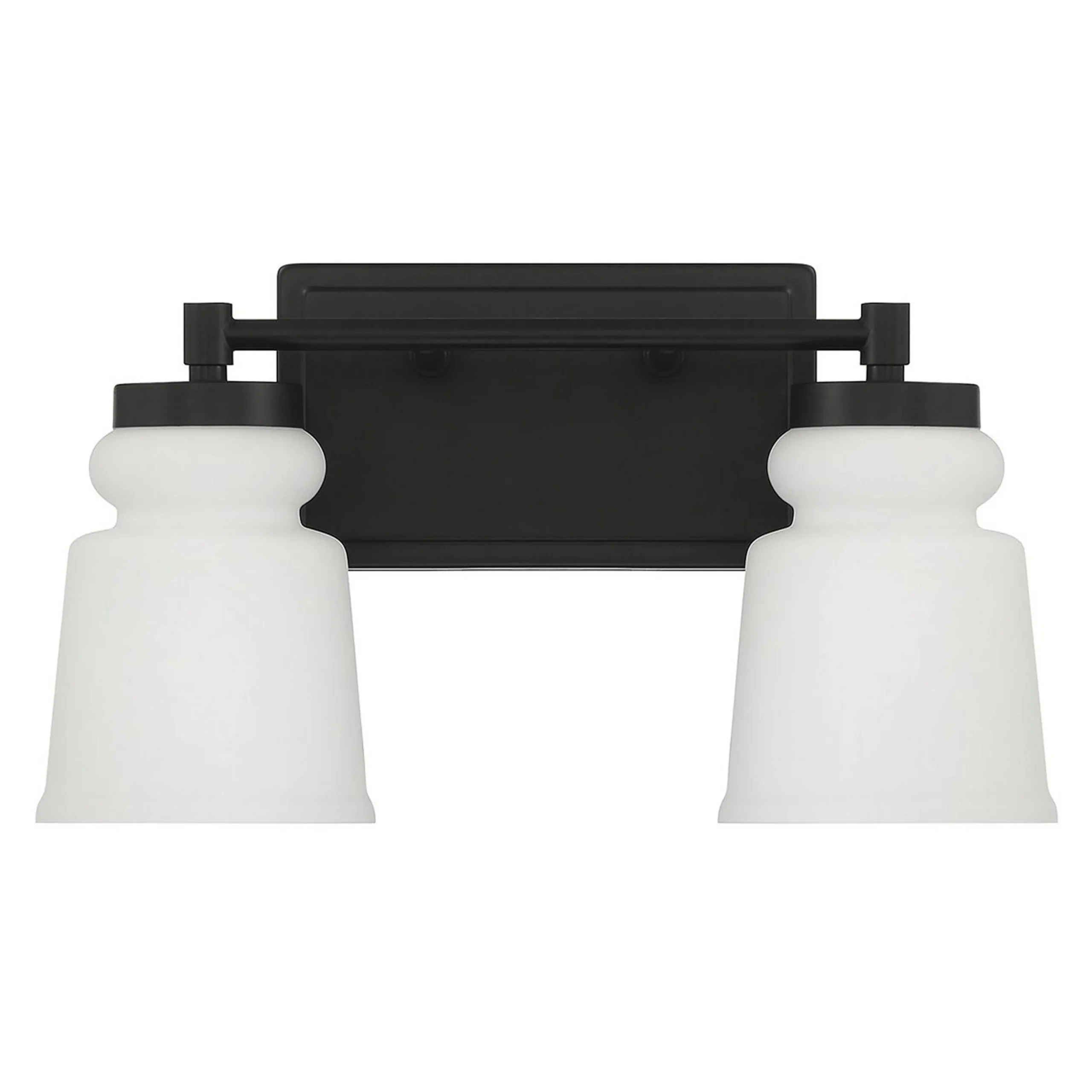 Snowmelt Vanity Light - 2 Light
