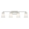 Snowmelt Vanity Light - 4 Light