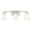 Snowmelt Vanity Light - 3 Light