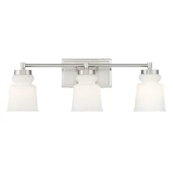 Snowmelt Vanity Light - 3 Light