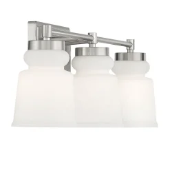 Snowmelt Vanity Light - 3 Light