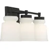 Snowmelt Vanity Light - 3 Light