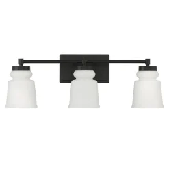 Snowmelt Vanity Light - 3 Light
