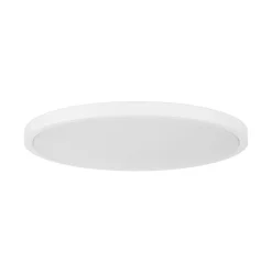 Svelte LED Ceiling Light