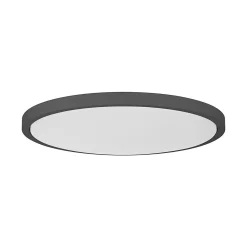 Svelte LED Ceiling Light