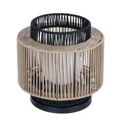 Thicket Indoor/Outdoor Table Lamp