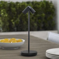 Thurston Cordless LED Indoor/Outdoor Table Lamp