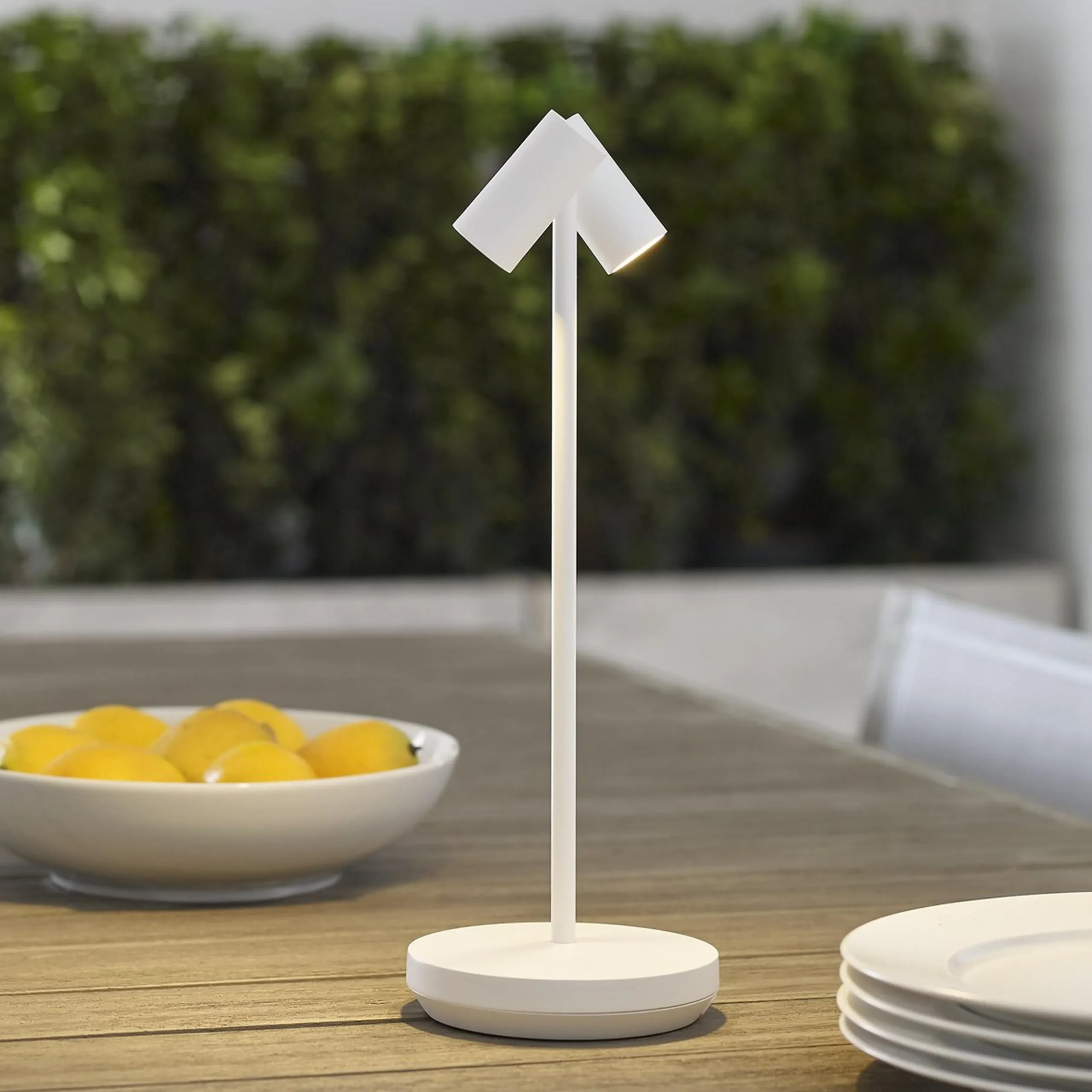 Thurston Cordless LED Indoor/Outdoor Table Lamp