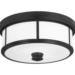 Traditional Urban Cage Ceiling Light