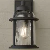 Undulated Outdoor Sconce - 1 Light