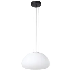 Valetudo Pendant
