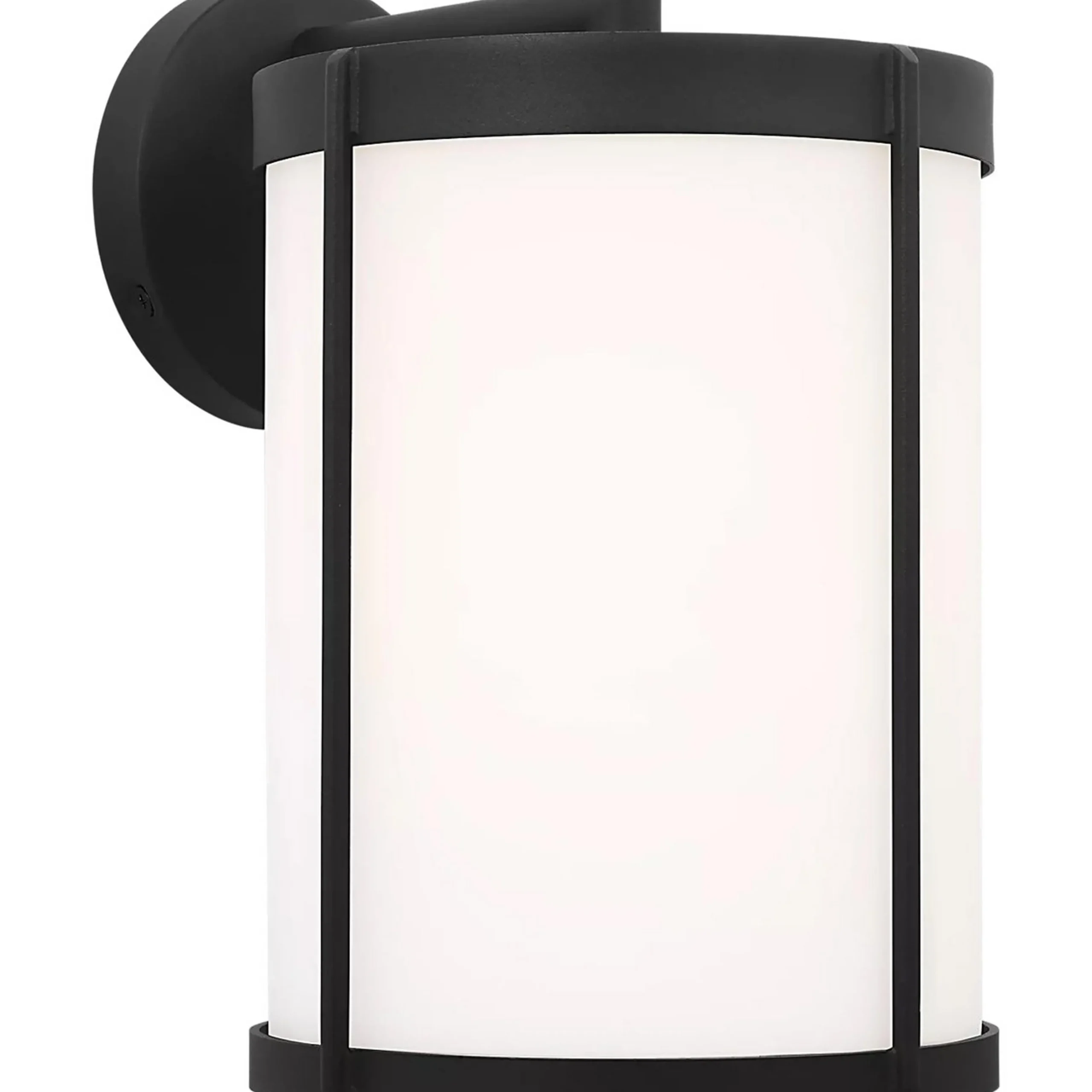 Vincent Opal Glass Outdoor Sconce - Medium