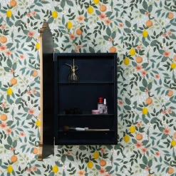 Walmsley Medicine Cabinet Mirror