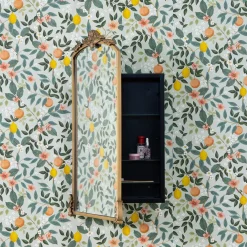 Walmsley Medicine Cabinet Mirror